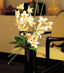  Malatya 14 ubat sevgililer gn iek  cam yada mika vazo ierisinde dal orkide
