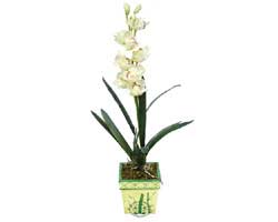 zel Yapay Orkide Beyaz   Malatya iek sat 