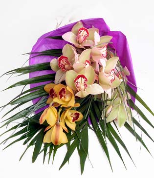  Malatya iek maazas , ieki adresleri  1 adet dal orkide buket halinde sunulmakta