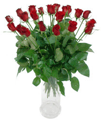  Malatya internetten çiçek satışı  11 adet kimizi gülün ihtisami cam yada mika vazo modeli