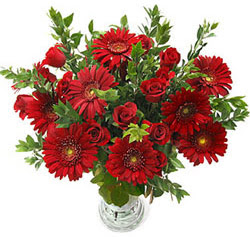 5 adet kirmizi gül 5 adet gerbera aranjmani  Malatya online çiçek gönderme sipariş 