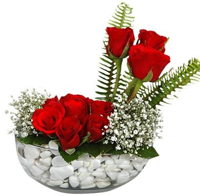 cam içerisinde 9 adet kirmizi gül  Malatya hediye sevgilime hediye çiçek 
