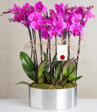11 dall mor orkide metal vazoda  Malatya hediye iek yolla 