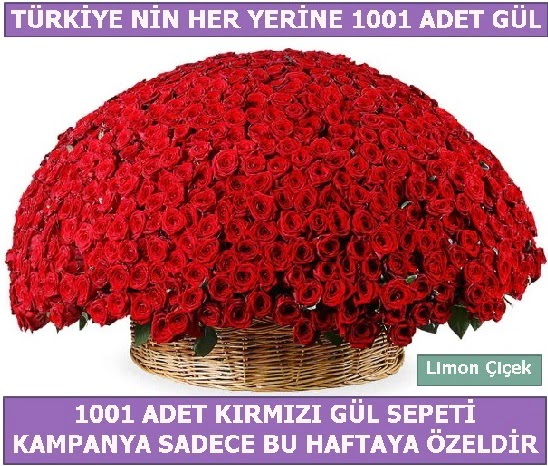 1001 Adet kırmızı gül Bu haftaya özel  Malatya ucuz çiçek gönder 