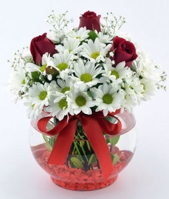 Fanusta 3 Gül ve Papatya  Malatya uluslararası çiçek gönderme 