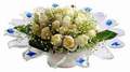 cam günes ve dolunay bembeyaz  Malatya internetten çiçek siparişi 