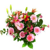 lilyum ve gerbera çiçekleri - çiçek seçimi -  Malatya çiçek siparişi sitesi 