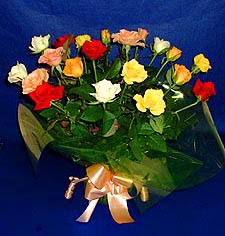  Malatya online çiçek gönderme sipariş  13 adet karisik renkli güller