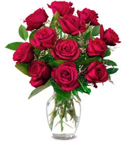  Malatya çiçek online çiçek siparişi  1 düzine kirmizi gül sevenlere özel vazo gülleri
