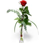  Malatya internetten çiçek satışı  1 adet kirmizi gül cam yada mika vazo içerisinde