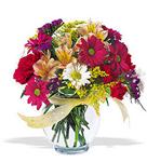  Malatya internetten çiçek siparişi  cam yada mika vazo içerisinde karisik kir çiçekleri