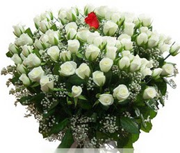  Malatya uluslararası çiçek gönderme  100 adet beyaz 1 adet kirmizi gül buketi