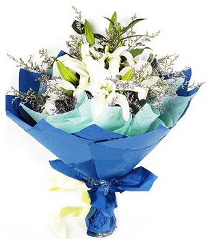  Malatya yurtiçi ve yurtdışı çiçek siparişi  4 adet dal kazablankadan görsel buket