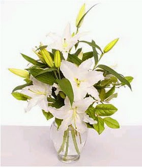  Malatya çiçek siparişi sitesi  2 dal cazablanca vazo çiçeği