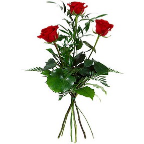  Malatya kaliteli taze ve ucuz çiçekler  3 adet kırmızı gülden buket