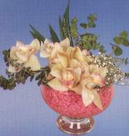  Malatya çiçek gönderme sitemiz güvenlidir  Dal orkide kalite bir hediye