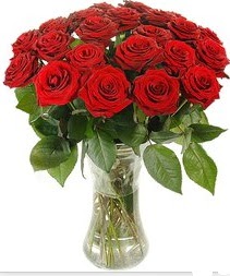  Malatya çiçek gönderme sitemiz güvenlidir  Vazoda 15 adet kırmızı gül tanzimi