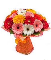 Renkli gerbera buketi  Malatya yurtiçi ve yurtdışı çiçek siparişi 