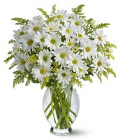Vazo içerisinde beyaz krizantem çiçekleri  Malatya cicek , cicekci 