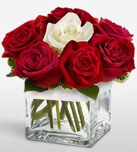 Tek aşkımsın çiçeği 8 kırmızı 1 beyaz gül  Malatya kaliteli taze ve ucuz çiçekler 