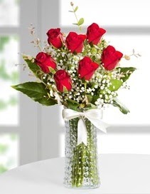 Cam vazoda 7 adet kırmızı gül  Malatya internetten çiçek siparişi 