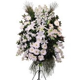  Malatya çiçek servisi , çiçekçi adresleri  Ferforje beyaz renkli kazablanka