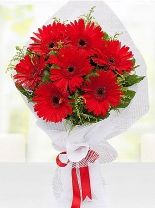 Kırmızı Gelbera Buketi  Malatya anneler günü çiçek yolla 